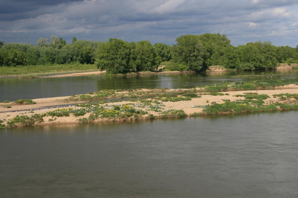 Sortie à l’île Navière - île de Chaillac